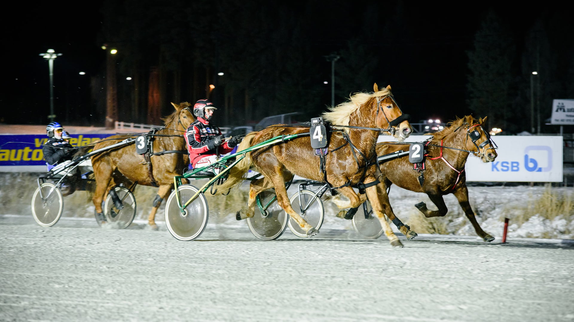 Itsenäisyyspäivän ravit, Kuopion ravirata