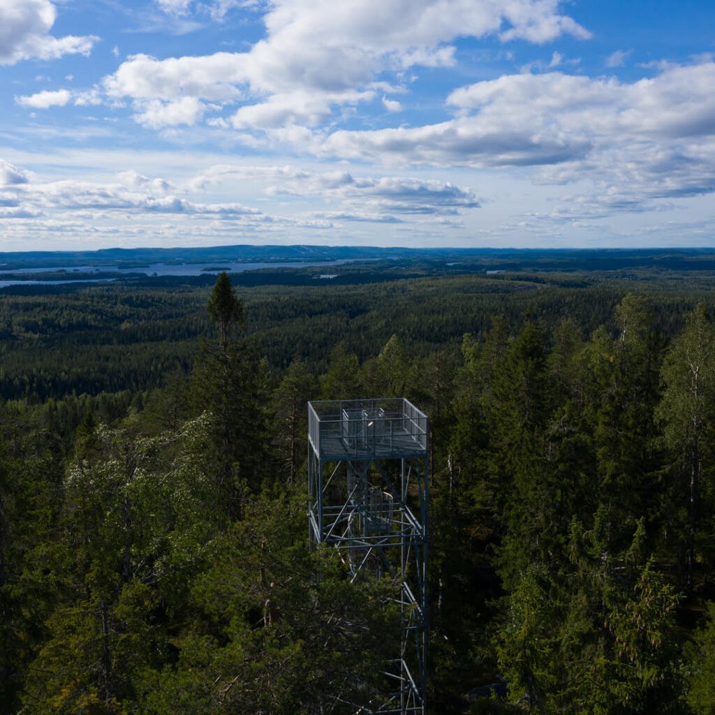 Pisan torni kesällä, ilmakuva