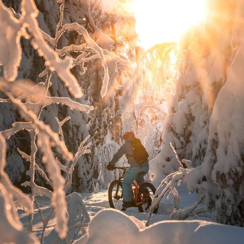 Puijon talvipyöräilyreitti