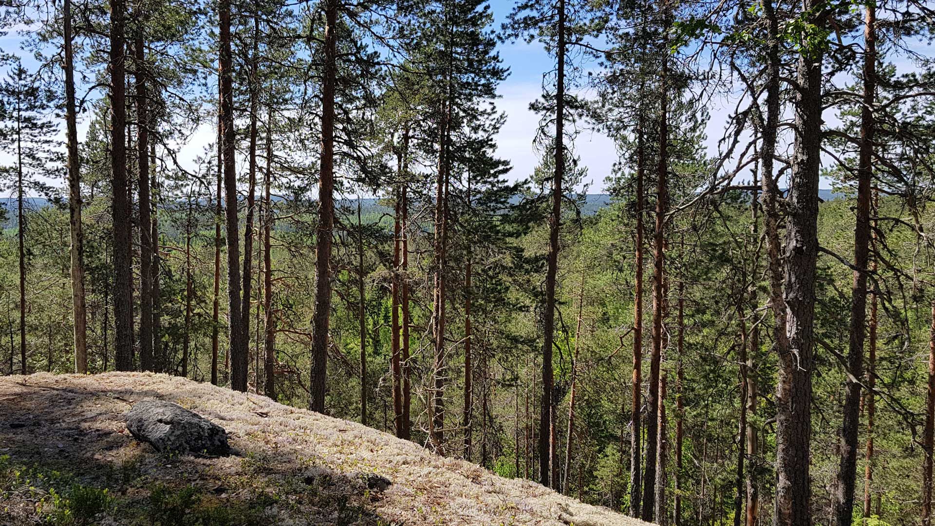 Etelä-Konneveden kansallispuisto