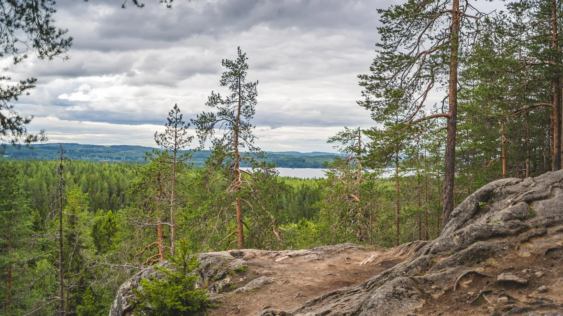 Kolmisoppi-Neulamäki retkeilyreitti Kuopiossa, Neulamäen näköalapaikka