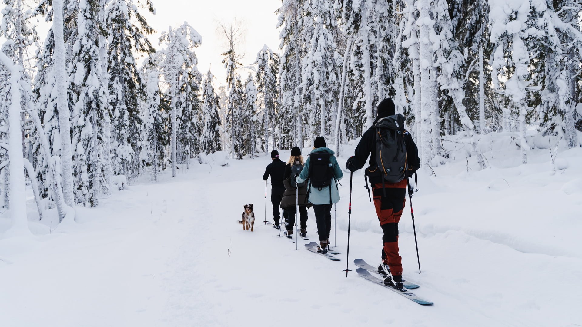 Retkeily Kuopiossa, Tahkolla ja Pohjois-Savo. Kaveriporukka liukulumikenkäilemässä.