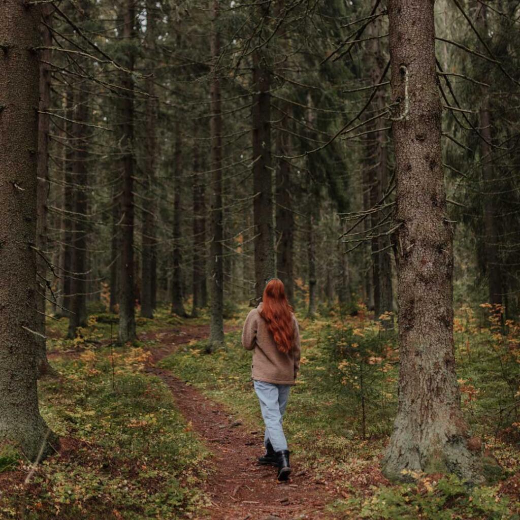 Puijon luontopolut. Nature trails in Puijo.