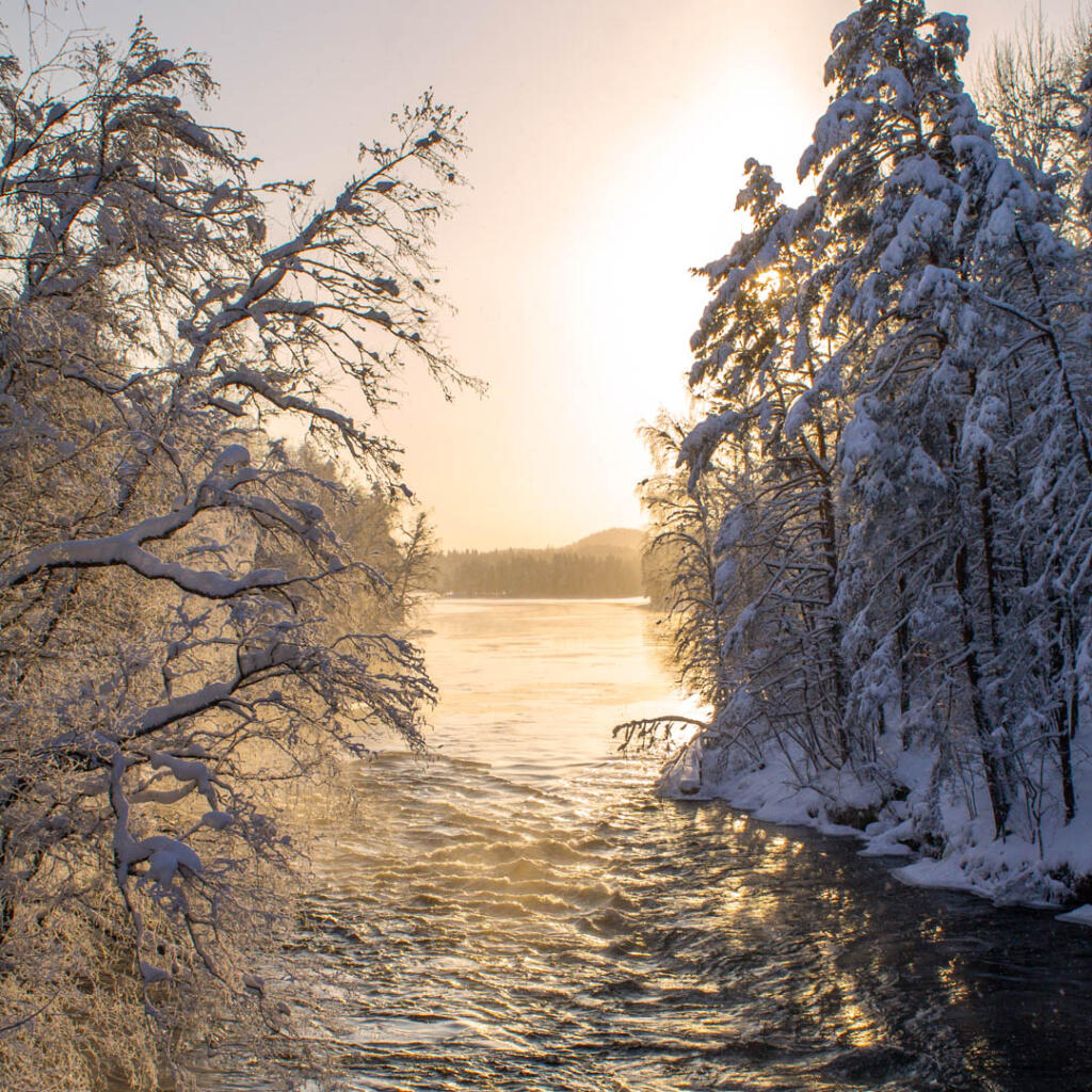 Etelä-Konneveden kansallispuisto, Konnekoski Rautalampi