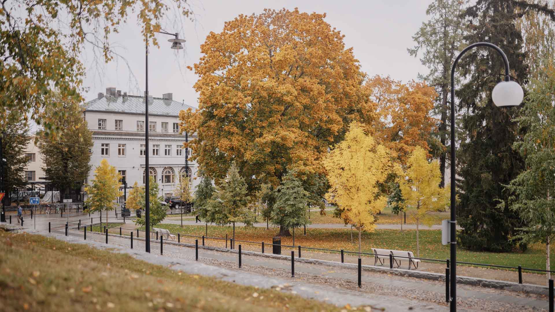 Kuopio Snellmaninpuisto syksy