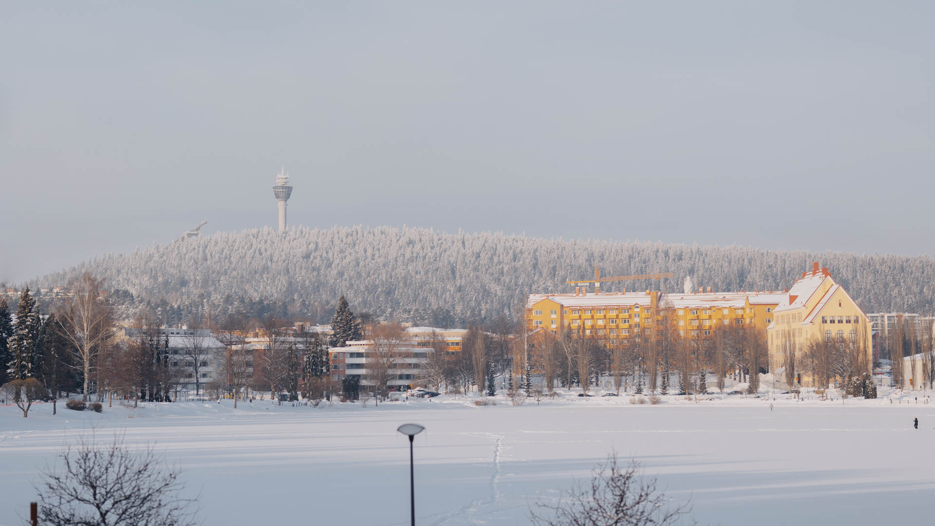 alvinen näkymä Valkeisenpuistosta Kuopiossa, taustalla Puijon torni ja lumiset metsät sekä rakennuksia puiston laidalla.