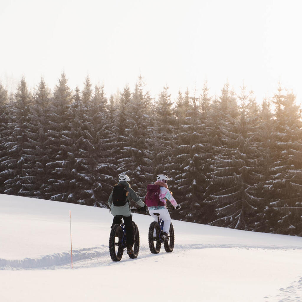 Kaksi henkilöä ajaa fatbike-pyörillä lumisella polulla talvimaisemassa, taustalla lumiset kuuset.